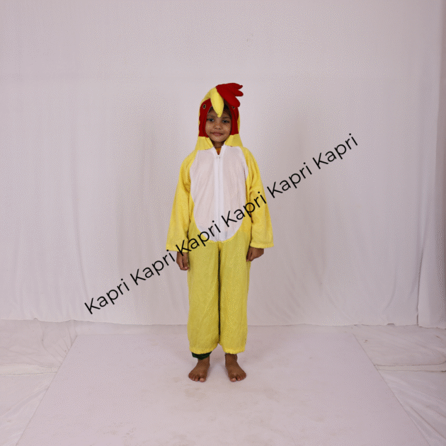 Kids' Chicken Costume – Animal Fancy Dress Outfit for Children