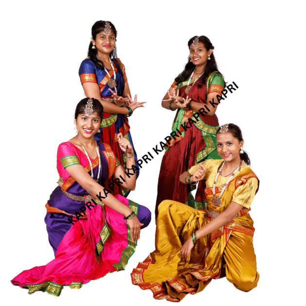 Girls Bharatanatyam Traditional Dance Costume Set – Multi-Color