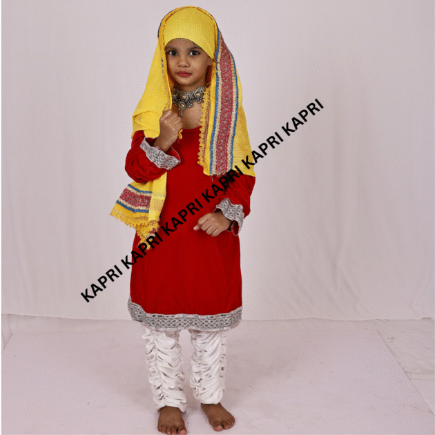 Kashmiri Fancy Dress For Girls