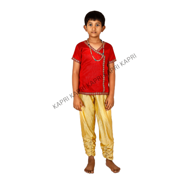 Krishna Fancy Dress Costume