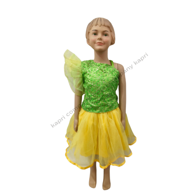 Fancy Dress Costume 01