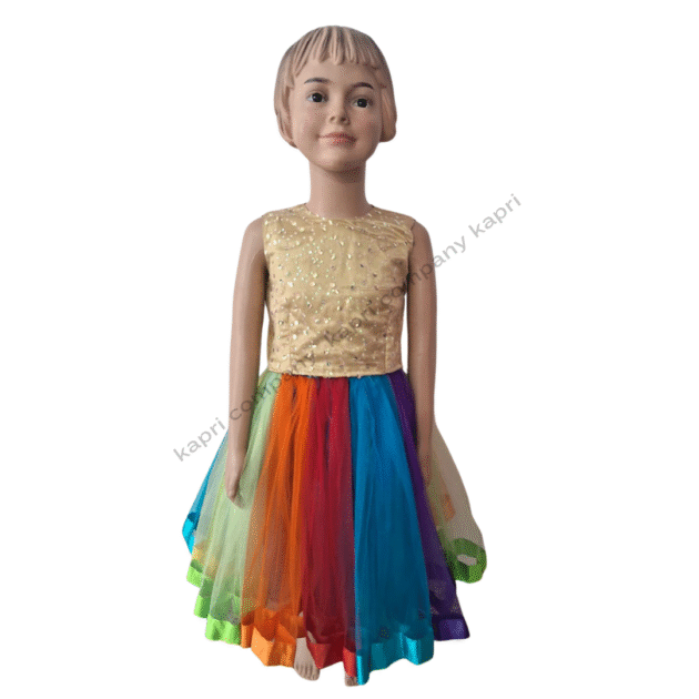 Fancy Dress Costume 04