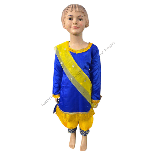 Fancy Dress Costume 05