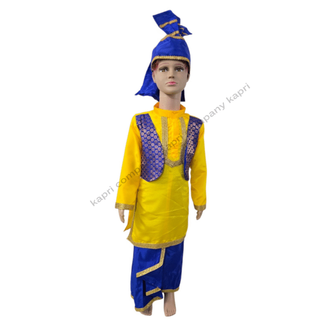 Fancy Dress Costume 10
