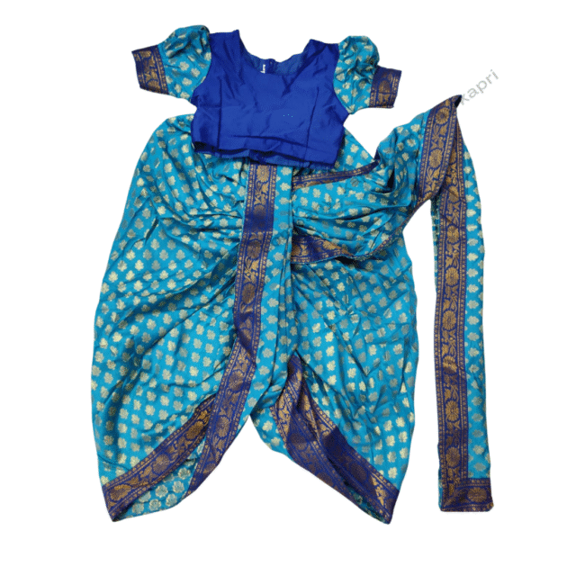 Fancy Dress Costume 15